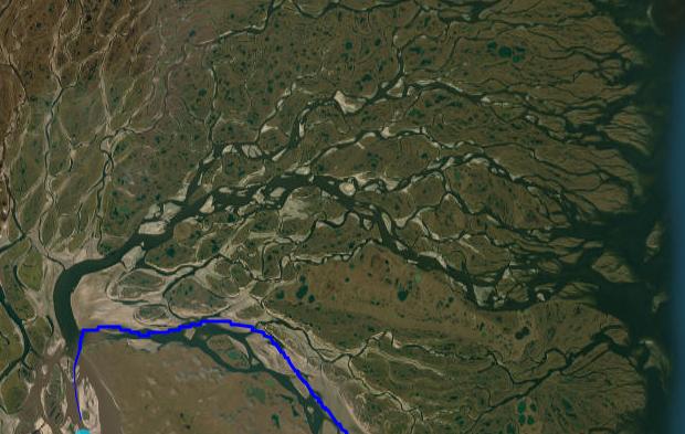 River delta with branching and braided channels